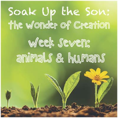 Soak Up the Son - Week 7: Animals & Humans