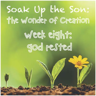 Soak Up the Son - Week 8: God Rested